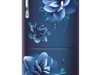 Samsung 230 L 3 Star Inverter Direct Cool Single Door Refrigerator (RR24A282YCU/NL, Base Stand with Drawer, Camellia Blue)