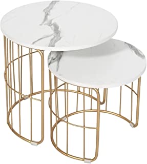 PRITI – Nature Lover Golden Coffee Table Nesting Table Set of Two – Center Table – Tea Table for Living Room – Golden – Laminated Marble Table top