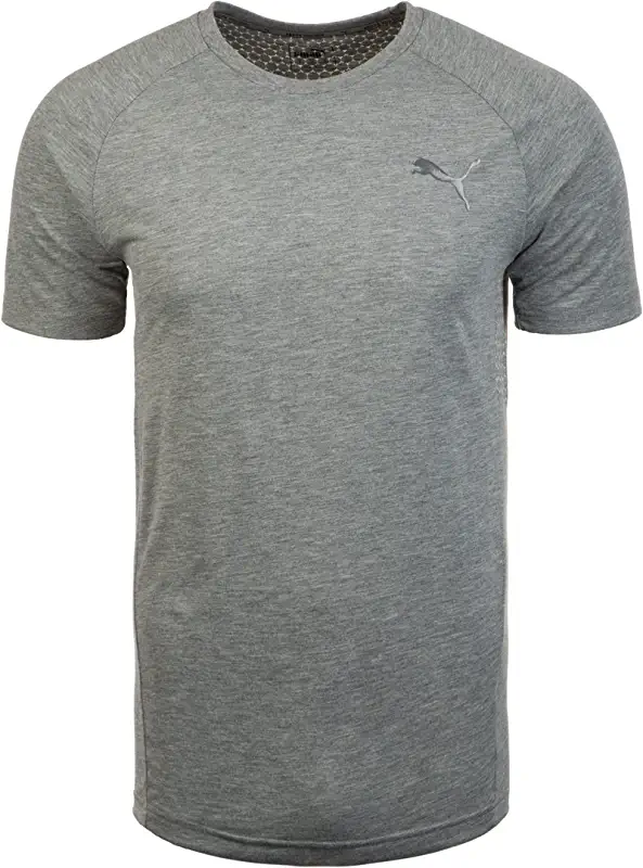 Puma Men's Regular T-Shirt